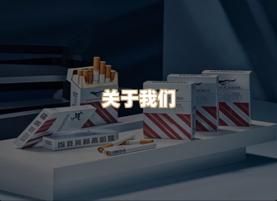 关于御龙烟网